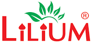 Lilium Cosmetics Pvt. Ltd.