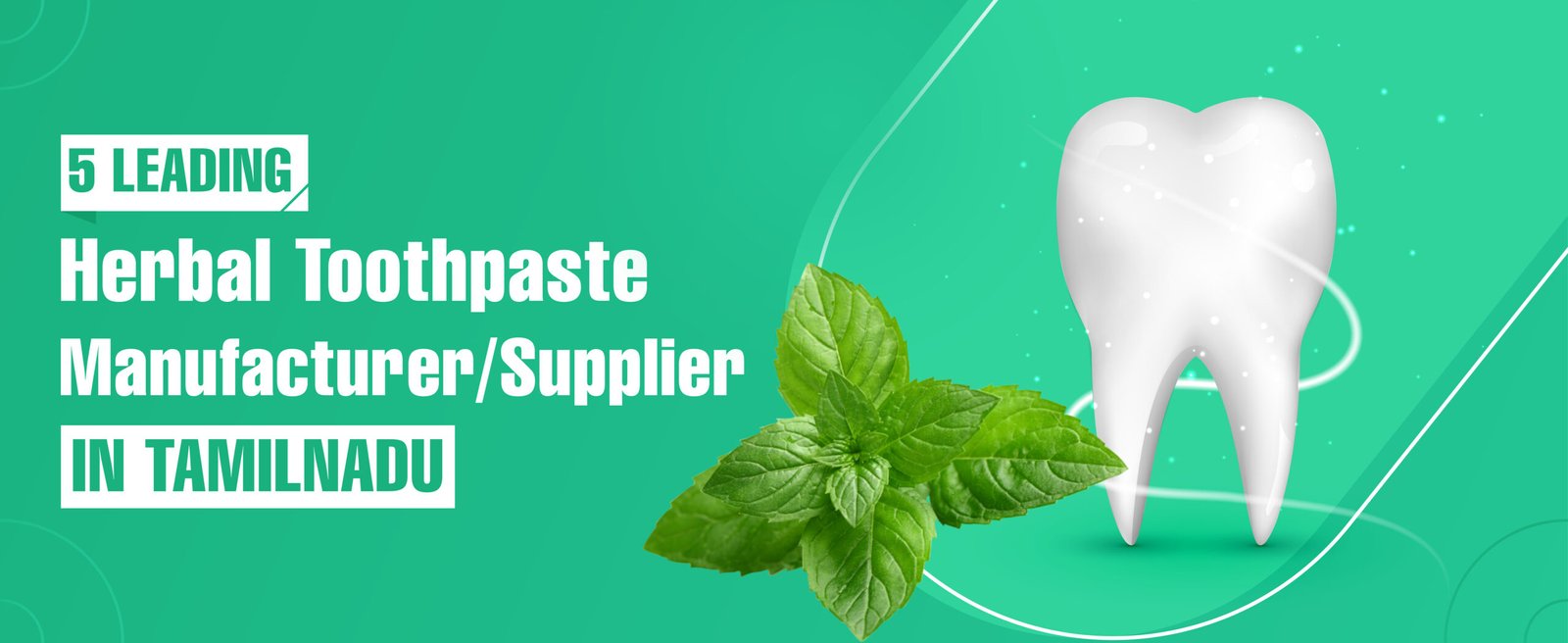 Herbal Toothpaste Manufacturer In Tamil Nadu