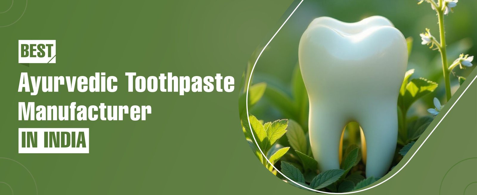 Ayurvedic Toothpaste Manufacturer In India