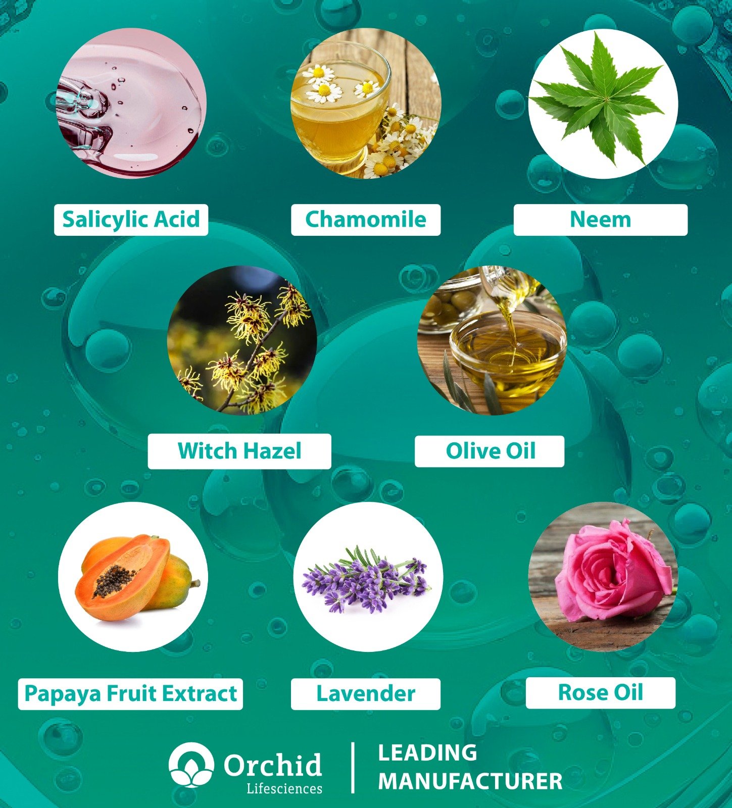 An image featuring the top 8 Anti Acne Face Wash Ingredients essential for skin care, emphasizing their roles in enhancing skin health.