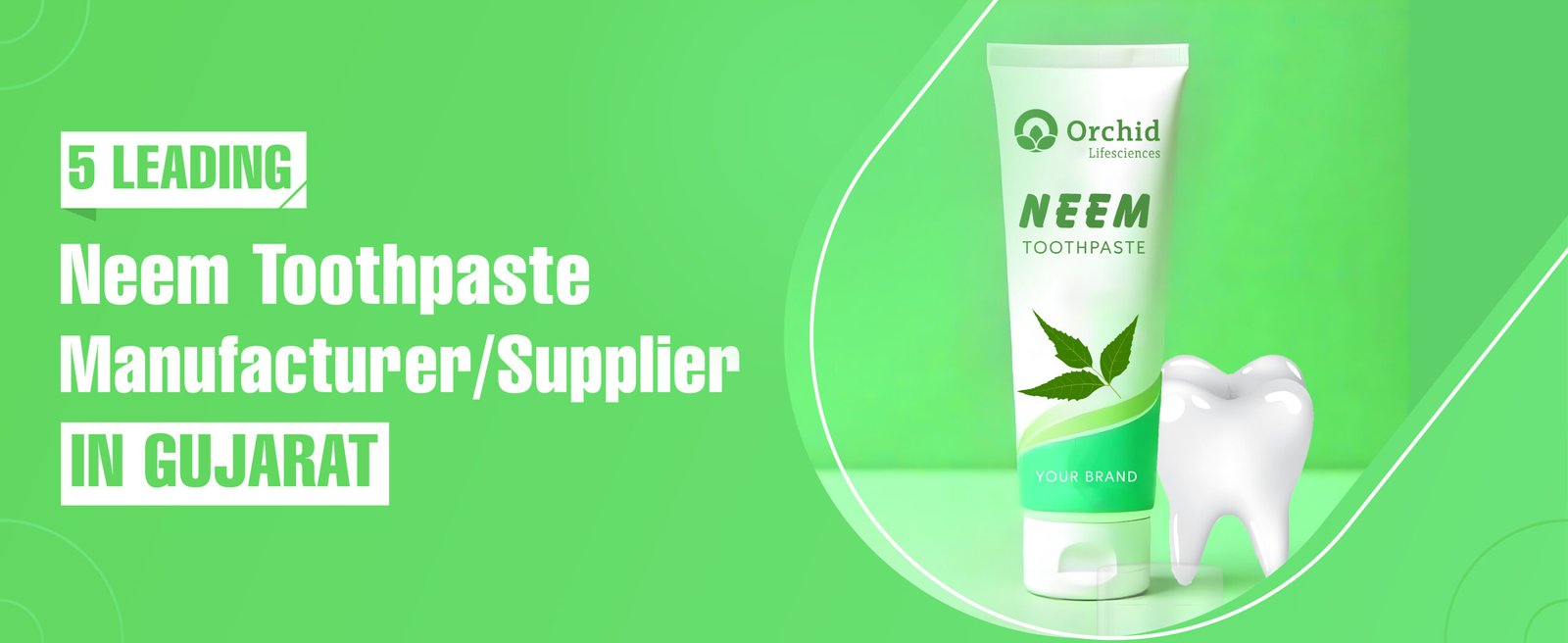 Neem Toothpaste Manufacturer In Gujarat