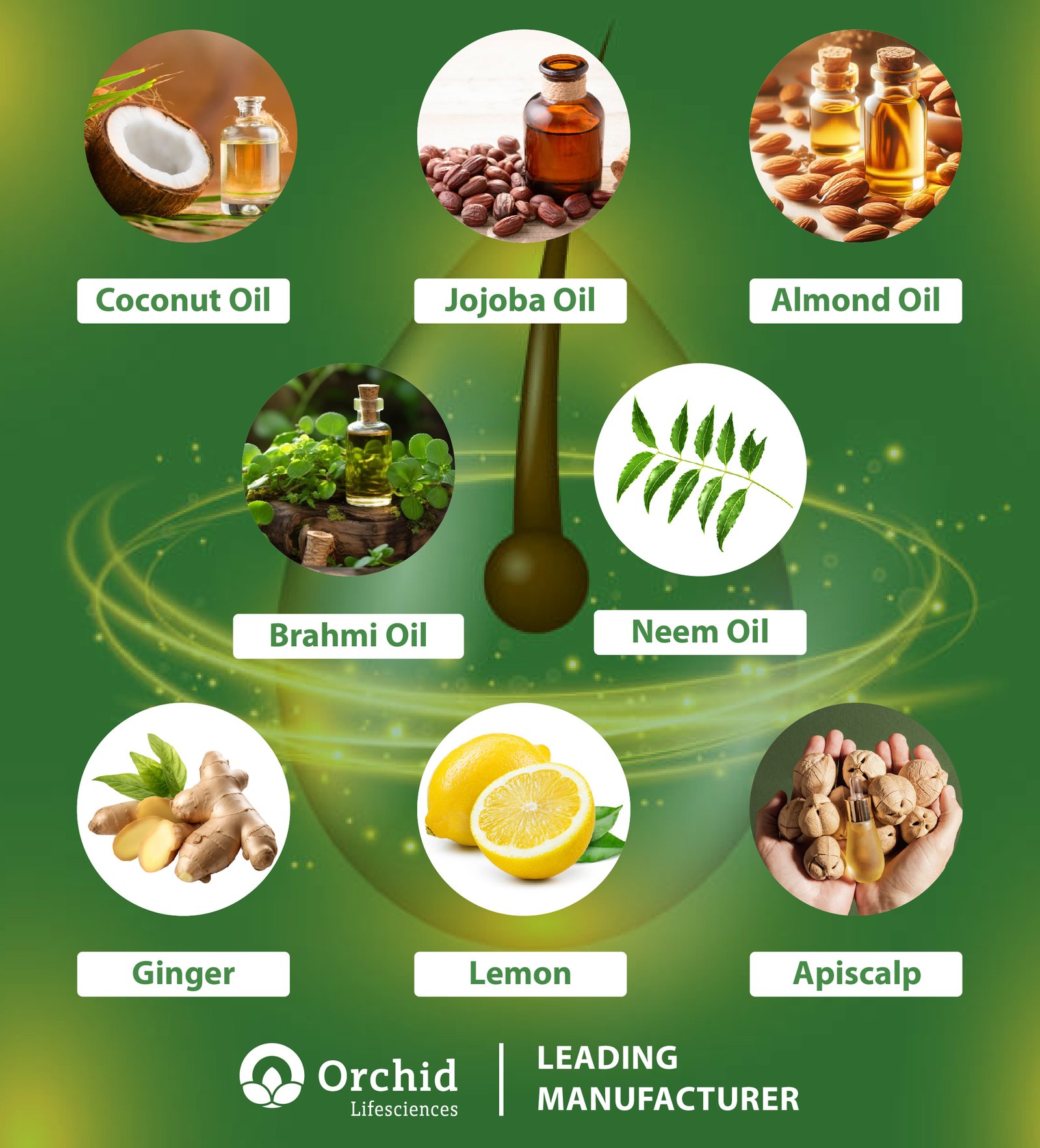 This image highlights the key ingredients of an anti-dandruff hair oil by "Orchid Lifesciences," labeled as a "Leading Manufacturer." It features circular icons with images of the ingredients against a green background: coconut oil, jojoba oil, almond oil, brahmi oil, neem oil, ginger, lemon, and apiscalp. Each ingredient is visually represented to emphasize the product's natural and effective composition.